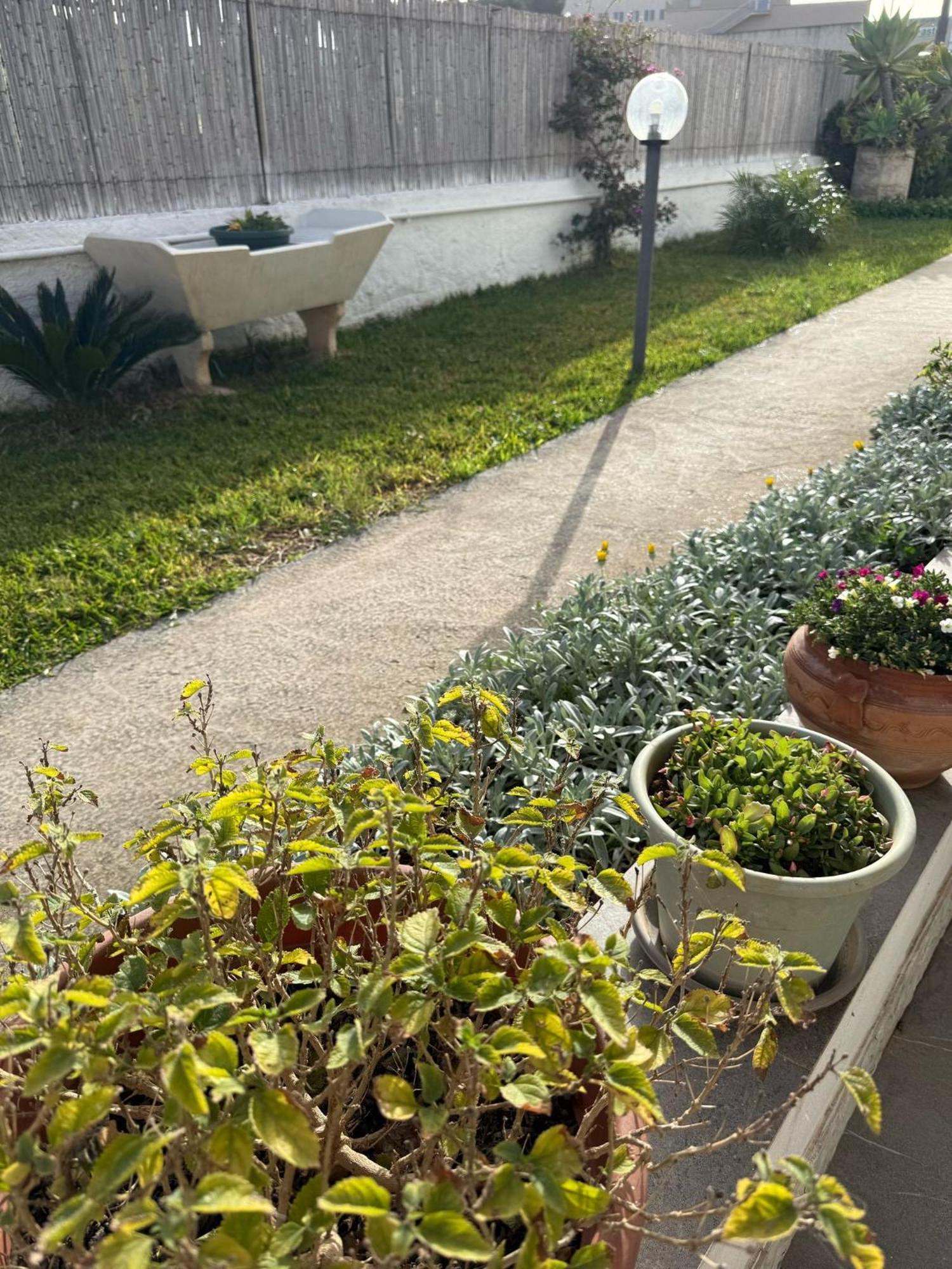 A Casa Di Coso B&B Marsala Eksteriør billede